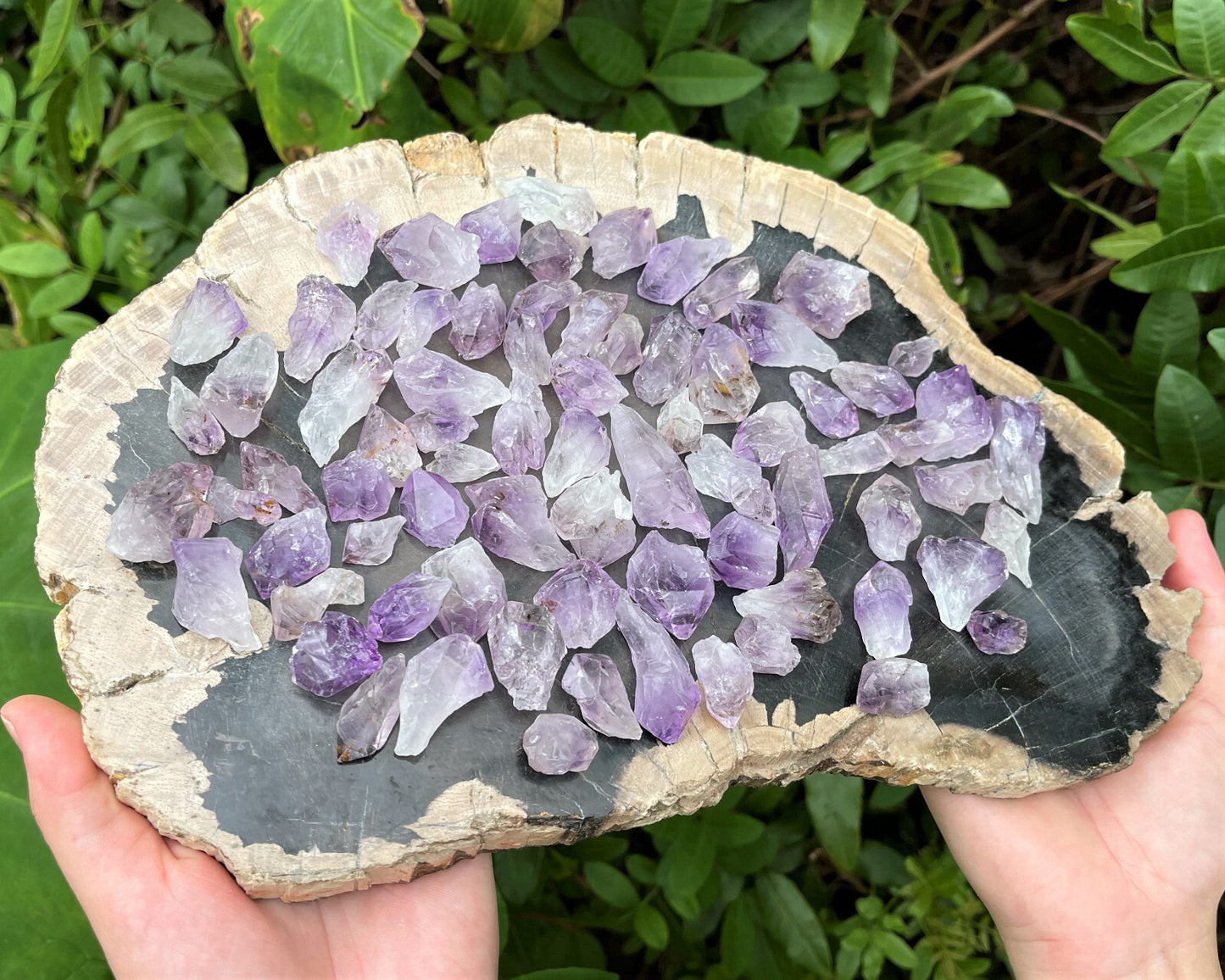 1/2 lb Bulk Amethyst & Quartz Crystal Collection in Box, Natural Clear Points